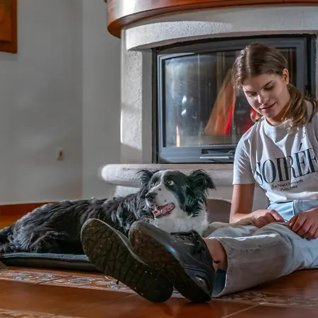 Bed and Breakfast Szarvaskut Vendeghazak